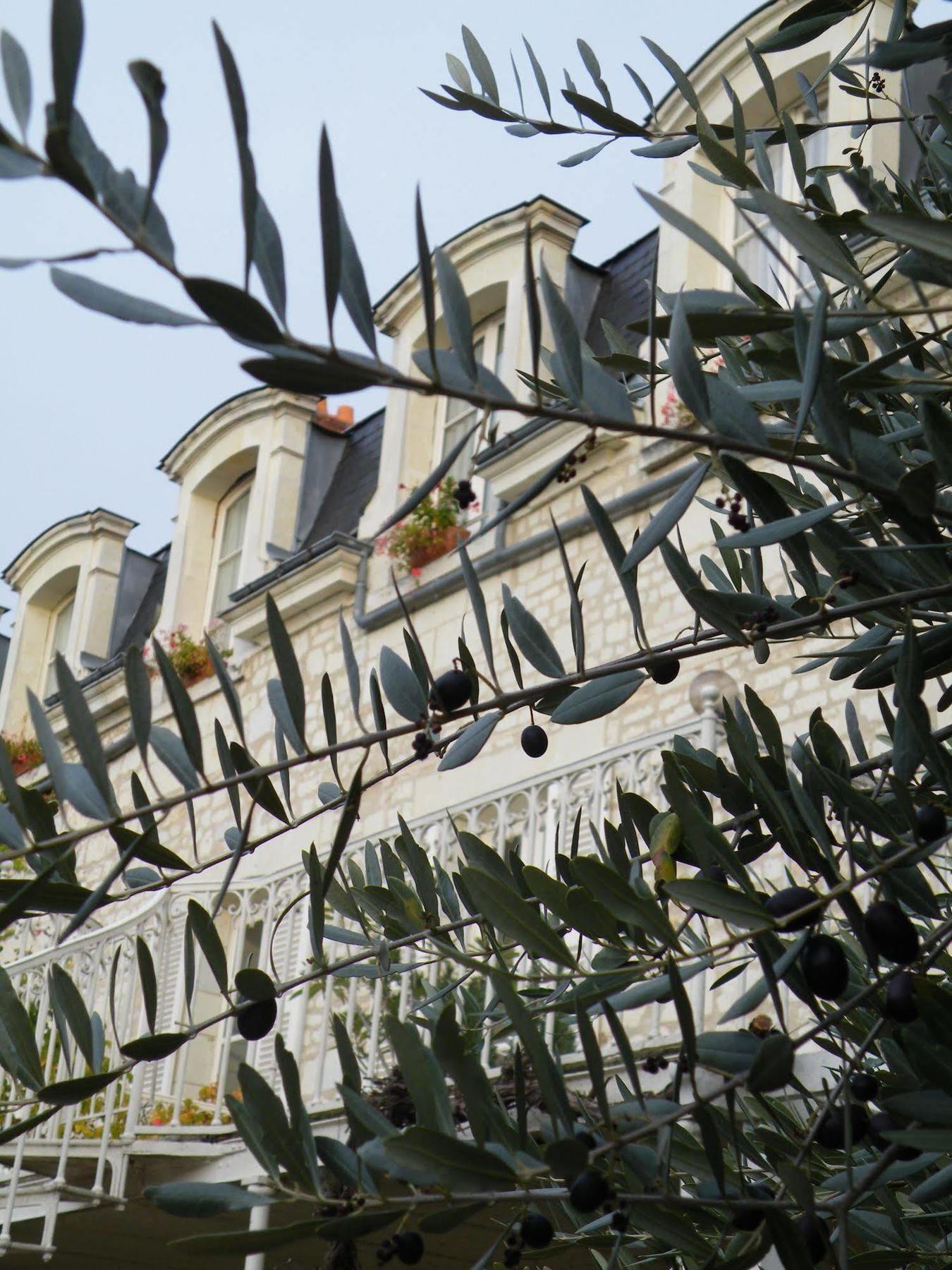 Hôtel Diderot Chinon Extérieur photo